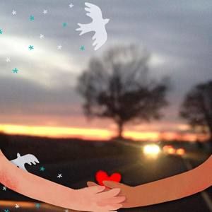 Meet your Posher, Dale